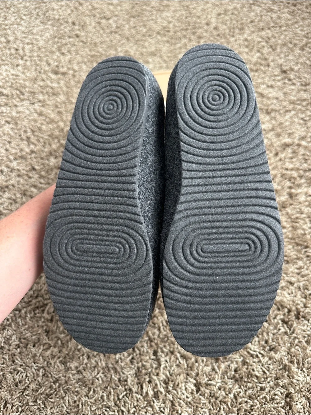 allbirds cozy wool
